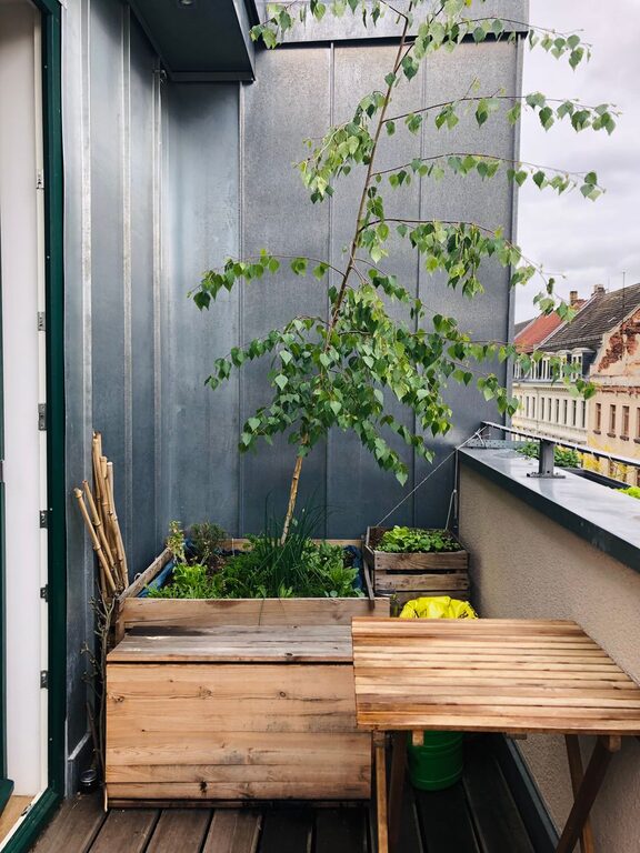 Tips for Creating a Sustainable Garden in Small Urban Spaces